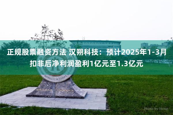 正规股票融资方法 汉朔科技：预计2025年1-3月扣非后净利润盈利1亿元至1.3亿元
