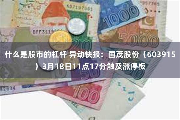 什么是股市的杠杆 异动快报：国茂股份（603915）3月18日11点17分触及涨停板