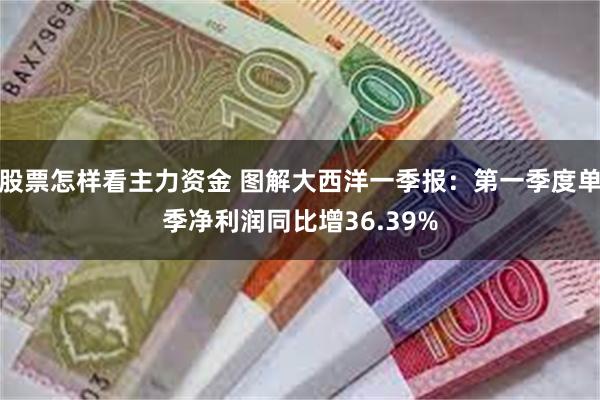 股票怎样看主力资金 图解大西洋一季报：第一季度单季净利润同比增36.39%
