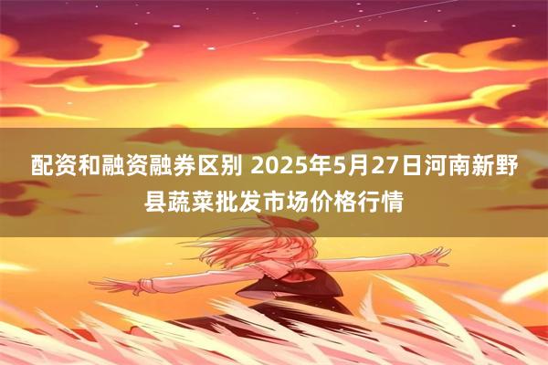 配资和融资融券区别 2025年5月27日河南新野县蔬菜批发市场价格行情