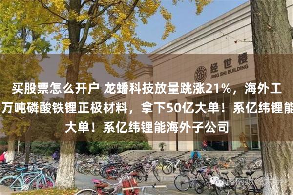 买股票怎么开户 龙蟠科技放量跳涨21%，海外工厂销售15.2万吨磷酸铁锂正极材料，拿下50亿大单！系亿纬锂能海外子公司