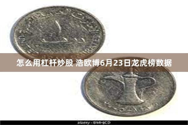 怎么用杠杆炒股 浩欧博6月23日龙虎榜数据