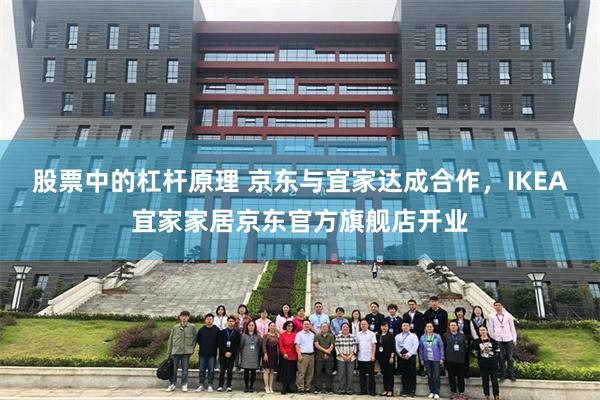 股票中的杠杆原理 京东与宜家达成合作，IKEA宜家家居京东官方旗舰店开业