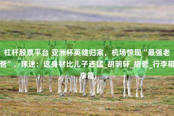 杠杆股票平台 亚洲杯英雄归家，机场惊现“最强老爸”，球迷：这身材比儿子还猛_胡明轩_胡爸_行李箱