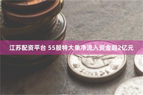 江苏配资平台 55股特大单净流入资金超2亿元
