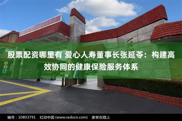 股票配资哪里有 爱心人寿董事长张延苓：构建高效协同的健康保险服务体系