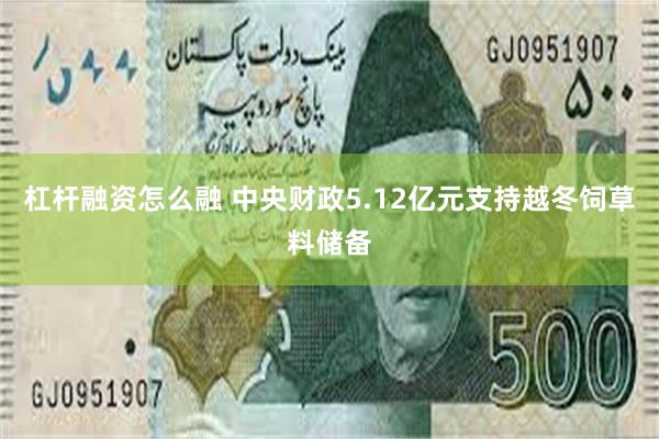 杠杆融资怎么融 中央财政5.12亿元支持越冬饲草料储备